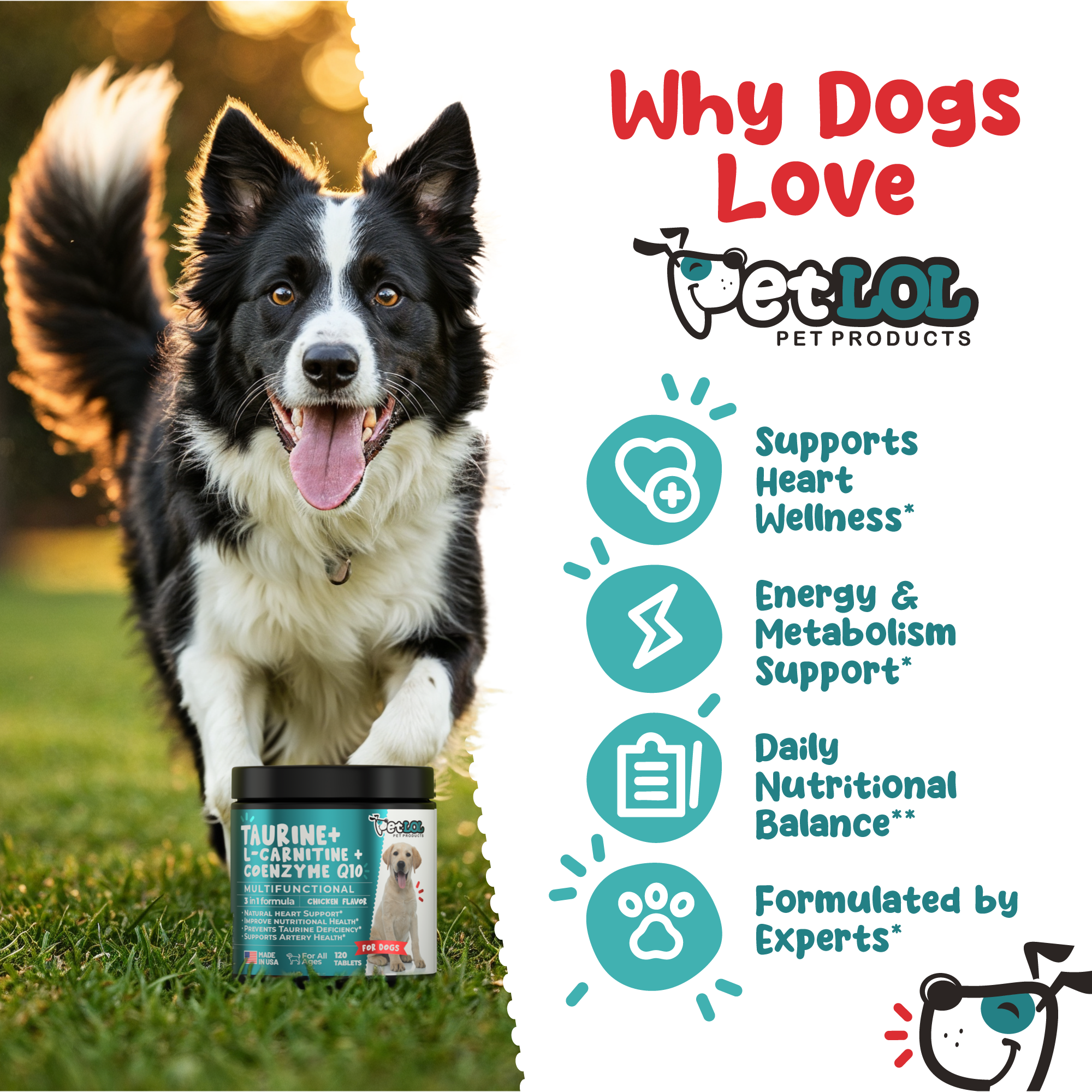 Taurine for Dogs 500mg