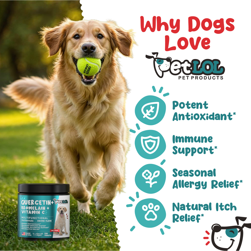 Quercetin for Dogs with Bromelain